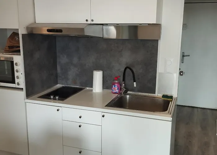 Pres Du Golf Avec Parking Prive 아파트 *